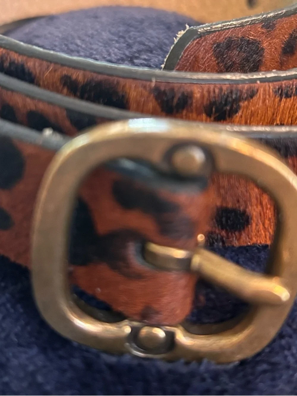 Coldwater Creek Leopard Haircalf Belt with Brass Buckle - Brown/Black - Picture 1 of 11